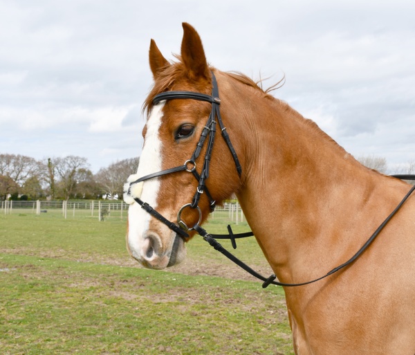 Windsor Leather Mexican Bridle